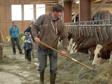 Visite guidée d'une ferme de montagne
