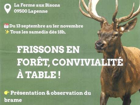 Soirée Brame du Cerf