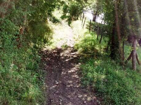 Itinéraire VTT Le Trouillet - Le Villard