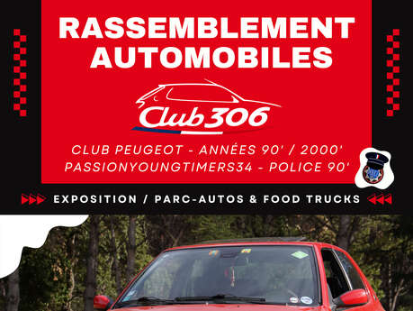 Rassemblement automoblile " Club 306 "