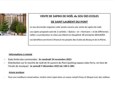 Vente de sapins de Noël