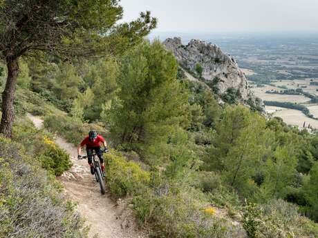 MTB GTV Etappe 2 - Von Malaucène nach Bedoin