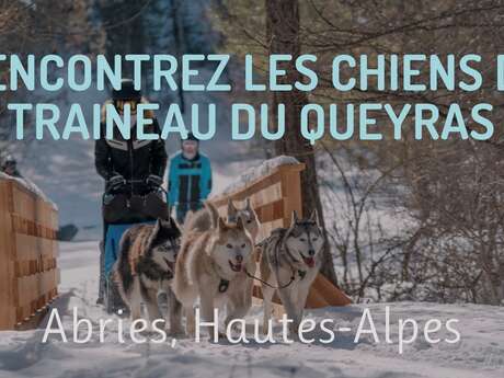 Baptême chiens de traineaux