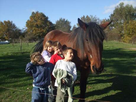 Gîte d'enfants la Ferme du Tilleul