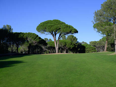 Golf de l'Estérel