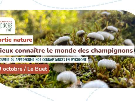 Nature outing - Learn more about the world of mushrooms