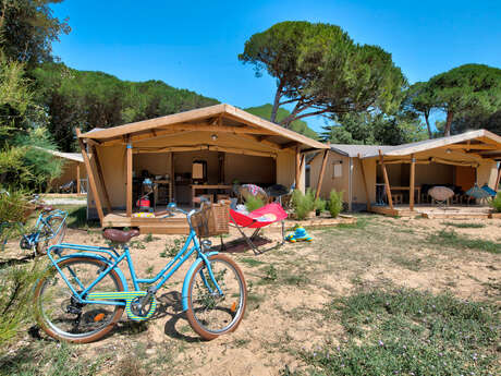 Stay in Cotton (canvas and wood)