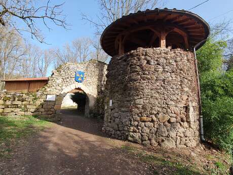 Site et jardin médiévaux de Donzy