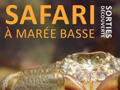 Sortie nature : Safari à marée basse avec Hervé Roques