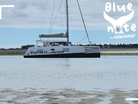 Sortie en mer sur catamaran à voile de 5h par Kapalouest - Blue Note