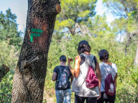 R06 Sentier Boissouteyrand - Mondragon