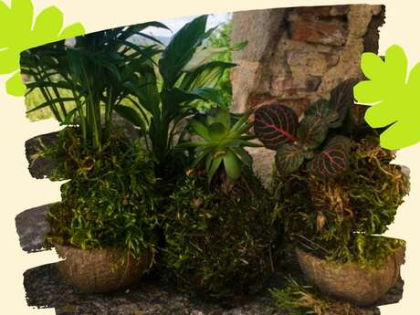 Atelier Kokédama à la Bibliothèque de Massieux