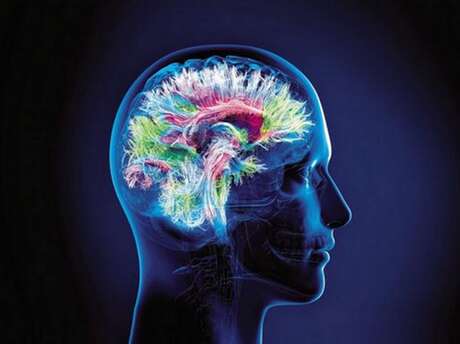 Conférence : Que se passe-t-il dans notre cerveau quand nous dormons, quand nous rêvons, méditons, sommes en hypnose, en transe ou dans le coma ?