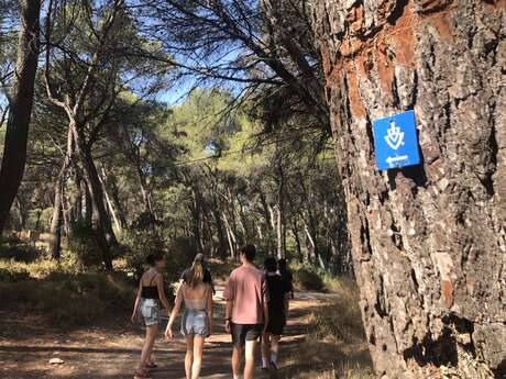 Le chemin de la Font d'Arles