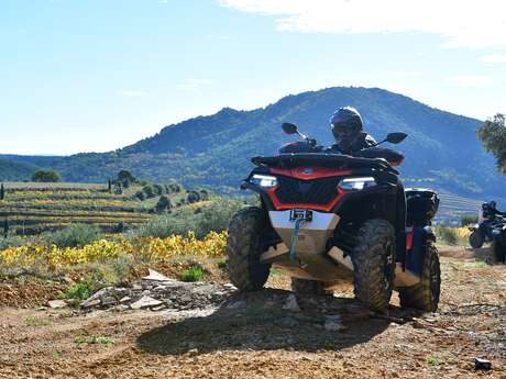 Dentelles Quad Vaucluse