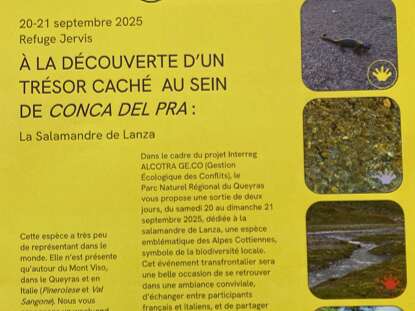 A la découverte d'un trésor caché au sein de Conca del Pra : la Salamandre de Lanza