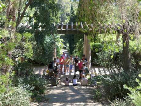Visite guidée du Jardin des Méditerranées
