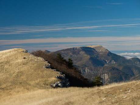 Crête de Raton (Variante) (N°8)