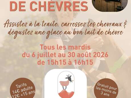 Métier passion à la chèvrerie des Cabrioles
