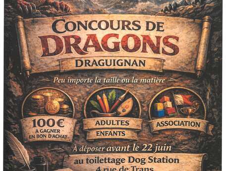 Concours de Dragons