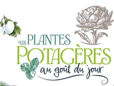 Les Plantes potagères au goût du jour