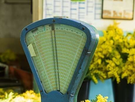 Visite guidée d'une forcerie