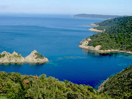 Point Rencontre - Retrait de Côte, Changements Globaux et Microplastiques