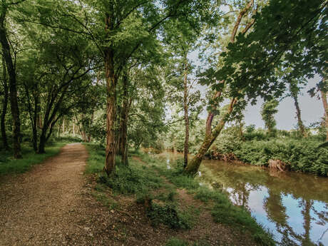 Saint-Julien-en-Genevois