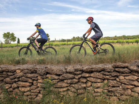 Site VTT FFC - Provence Verdon - Circuit 51 - Bleu - Gréoux-les-Bains
