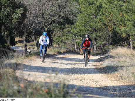 Itinéraire Gravel n°30 - Entre vignes et oliviers