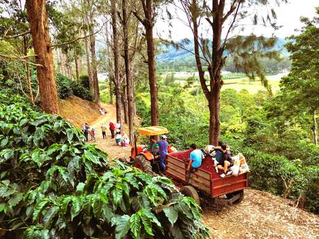 Sarmiento Torréfaction