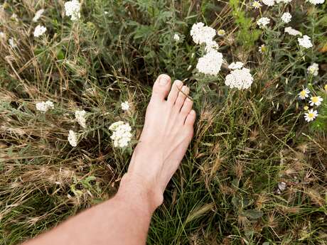Nature & well-being walks: “Barefoot!”