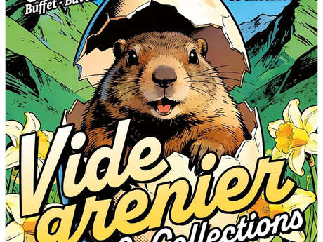 Vide grenier & collections