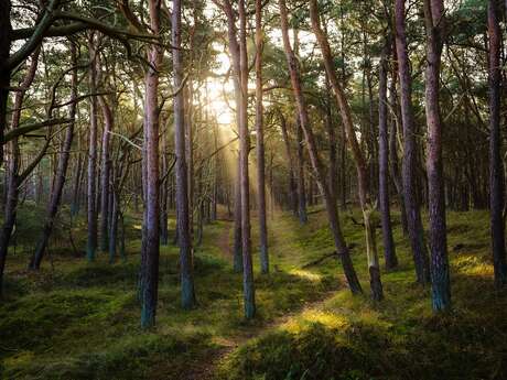Chants du monde et randonnée dans la Loire - stage