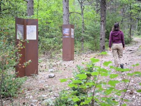GTHA - Grande Traversée des Hautes-Alpes à VTT (Parcours Balcons)