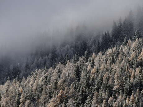 Snowshoeing route of Les Saix Blancs