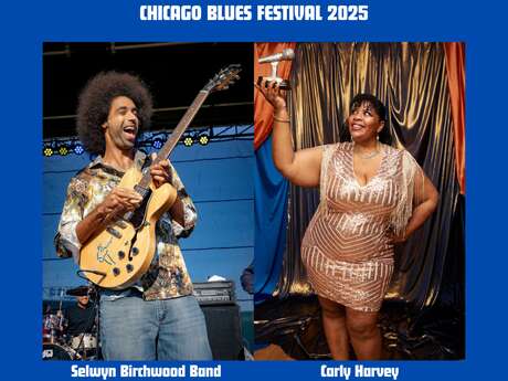 Chicago Blues Festival