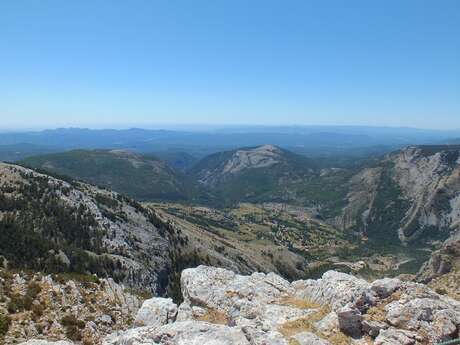 CAILLE - Montagne de l'Audibergue