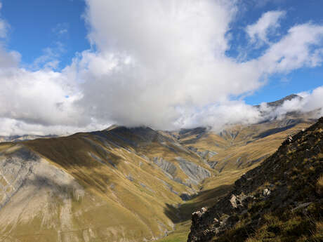 Signal loop from Ventelon