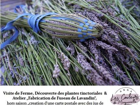 Atelier créatif : Création de carte postale avec jus de fleurs (dès 12 ans)