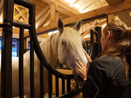 Poney-Club de Marly-le-Roi