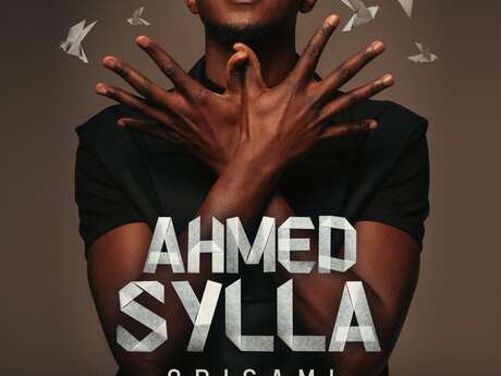 Spectacle Ahmed Sylla - Origami