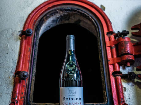 Visite du vignoble et de la cave - Domaine Boisson