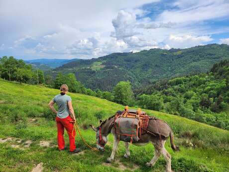 Randonnée accompagnée avec âne - Les Échappées Estivales®