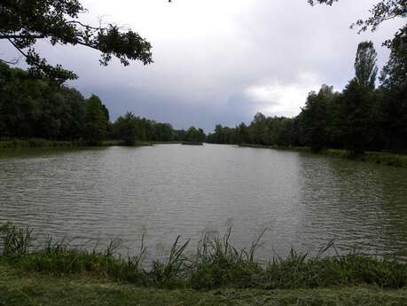 Tour du plan d'eau de Mépillat