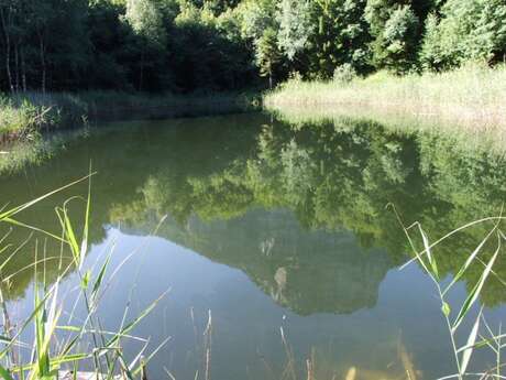 Itinéraire Lac Noir