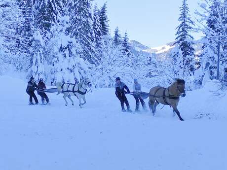 Aravis Équitation