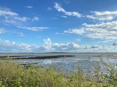 Boyard croisière : Discovering the estuary by sail