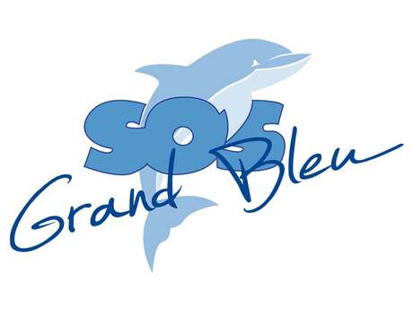 Opération de nettoyage des fonds marins avec SOS Grand Bleu