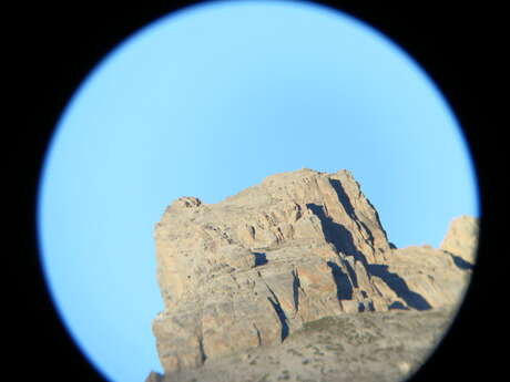 Astro-Rando: Scientific Mediator in Astronomy and Environmental Education. Planetarium, Telescopes, Workshops